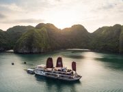 Du thuyền Orchid Hạ Long 3 ngày 2 đêm