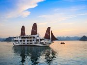 Du Thuyền Stellar Aclass 2 ngày 1 đêm